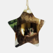 Zuckergrüber in Furry Tree Truck Hängebett Keramikornament (Rechts)