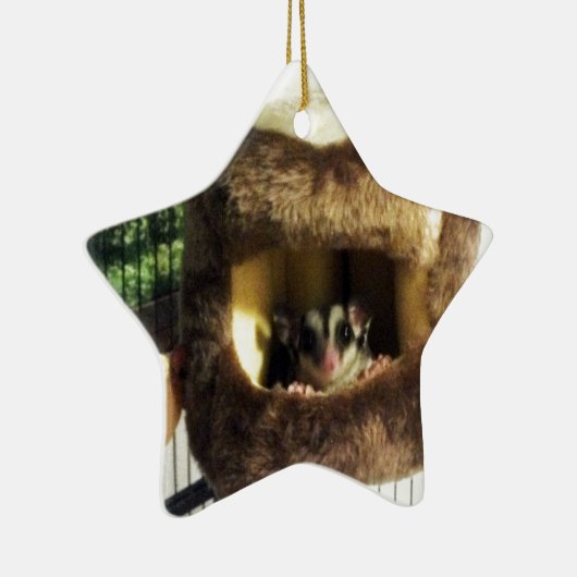 Zuckergrüber in Furry Tree Truck Hängebett Keramikornament (Rechts)