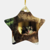 Zuckergrüber in Furry Tree Truck Hängebett Keramikornament (Hinten)