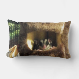 Zuckergrüber in Furry Tree Truck Hängebett Lendenkissen