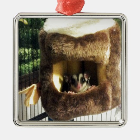 Zuckergrüber in Furry Tree Truck Hängebett Ornament Aus Metall (Vorne)