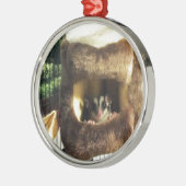 Zuckergrüber in Furry Tree Truck Hängebett Ornament Aus Metall (Links)