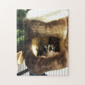 Zuckergrüber in Furry Tree Truck Hängebett Puzzle (Vertikal)