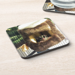 Zuckergrüber in Furry Tree Truck Hängebett Untersetzer