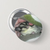 Zuckerkäfer schlafen in Blanket Button (Vorne & Hinten)