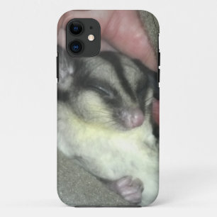 Zuckerkäfer schlafen in Blanket Case-Mate iPhone Hülle