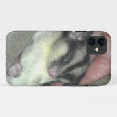 Zuckerkäfer schlafen in Blanket Case-Mate iPhone Hülle (Rückseite (Horizontal))