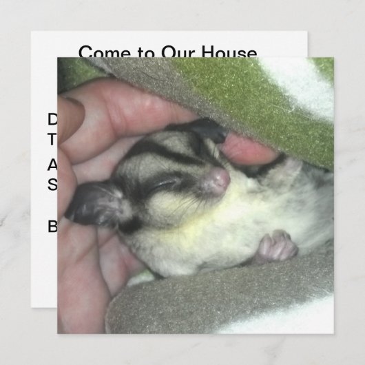 Zuckerkäfer schlafen in Blanket Einladung (Vorne/Hinten)