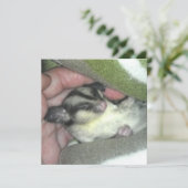 Zuckerkäfer schlafen in Blanket Einladung (Stehend Vorderseite)