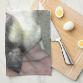 Zuckerkäfer schlafen in Blanket Küchentuch (Viertel Falte)