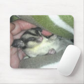 Zuckerkäfer schlafen in Blanket Mousepad (Mit Mouse)