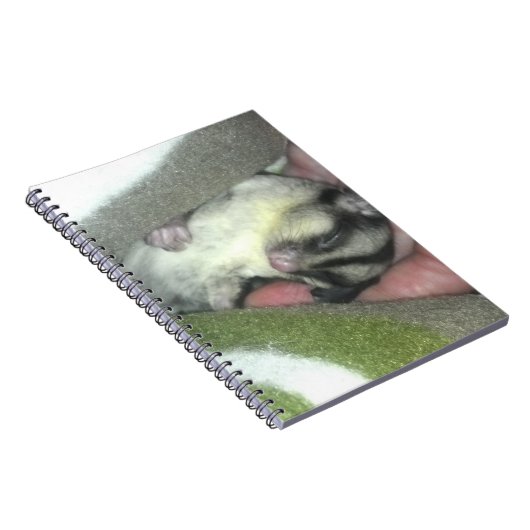 Zuckerkäfer schlafen in Blanket Notizblock (Rechte Seite)