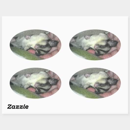 Zuckerkäfer schlafen in Blanket Ovaler Aufkleber (Blatt)