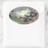 Zuckerkäfer schlafen in Blanket Ovaler Aufkleber (Tasche)