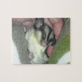 Zuckerkäfer schlafen in Blanket Puzzle (Horizontal)