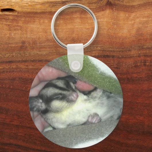 Zuckerkäfer schlafen in Blanket Schlüsselanhänger (Vorderseite)