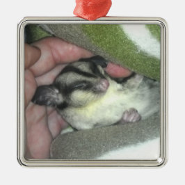 Zuckerkäfer schlafen in Blanket Silbernes Ornament