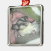 Zuckerkäfer schlafen in Blanket Silbernes Ornament (Links)