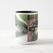 Zuckerkäfer schlafen in Blanket Tasse (Zentrum)