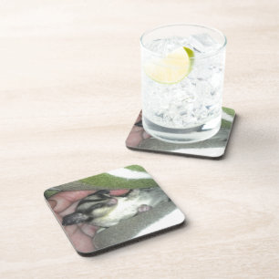 Zuckerkäfer schlafen in Blanket Untersetzer