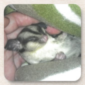 Zuckerkäfer schlafen in Blanket Untersetzer (Vorderseite)