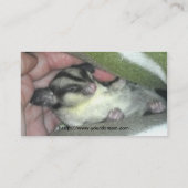 Zuckerkäfer schlafen in Blanket Visitenkarte (Rückseite)