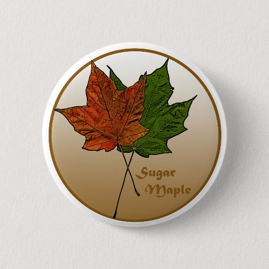 Zuckerkapelbaum Button (Vorderseite)