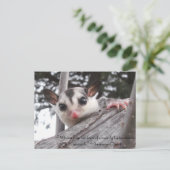 Zuckerkarte Postkarte (Stehend Vorderseite)