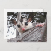 Zuckerkarte Postkarte (Vorne/Hinten)