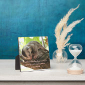 Zuckerkleidung Fotoplatte (InSitu)