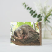 Zuckerkleidung Postkarte (Stehend Vorderseite)