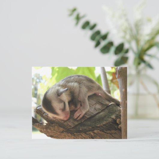 Zuckerkleidung Postkarte (Stehend Vorderseite)