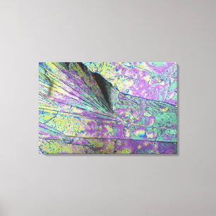 Zuckerkristalle angesehen in polarisiertem Licht Leinwanddruck