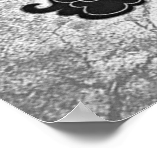 Zuckerkulpster in Schwarz/Weiß Poster (Ecke)