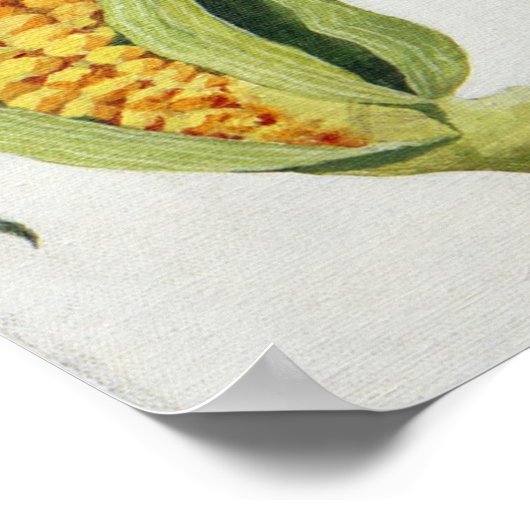 Zuckermais 2013 poster (Ecke)