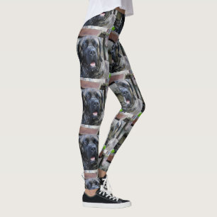 Zuckermais Leggings