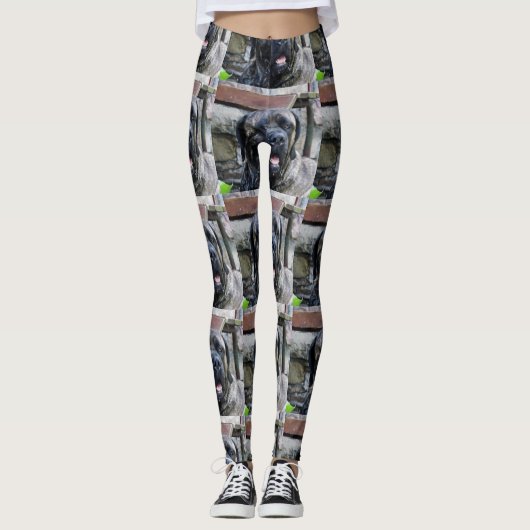 Zuckermais Leggings (Vorderseite)