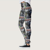 Zuckermais Leggings (Links)