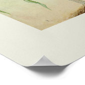 Zuckermais Poster (Ecke)