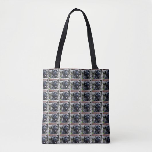 Zuckermais Tasche (Vorderseite)