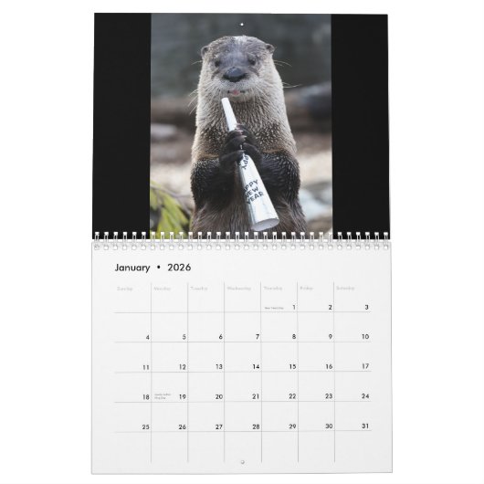 Zuckern Sie den Otter Kalender (Jan 2026)