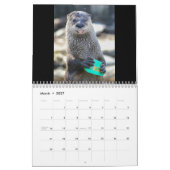 Zuckern Sie den Otter Kalender (Mär 2027)