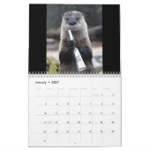 Zuckern Sie den Otter Kalender (Jan 2027)