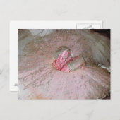 Zuckerplatte Postkarte (Vorne/Hinten)