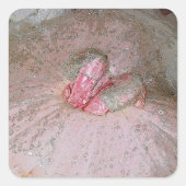 Zuckerplatte Quadratischer Aufkleber (Vorderseite)