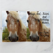 "Zuckerrohr: Die Gnade der Appaloosa" Karte (Innenseite)