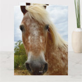 "Zuckerrohr: Die Gnade der Appaloosa" Karte (Rückseite)