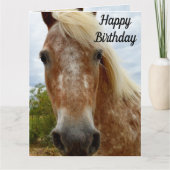 "Zuckerrohr: Die Gnade der Appaloosa" Karte (Vorderseite)