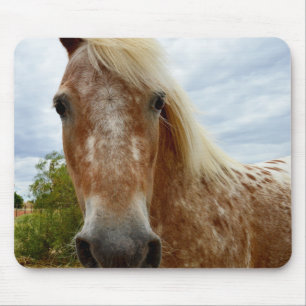 "Zuckerrohr: Die Gnade der Appaloosa" Mousepad