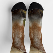 "Zuckerrohr: Die Gnade der Appaloosa" Socken (Oben)